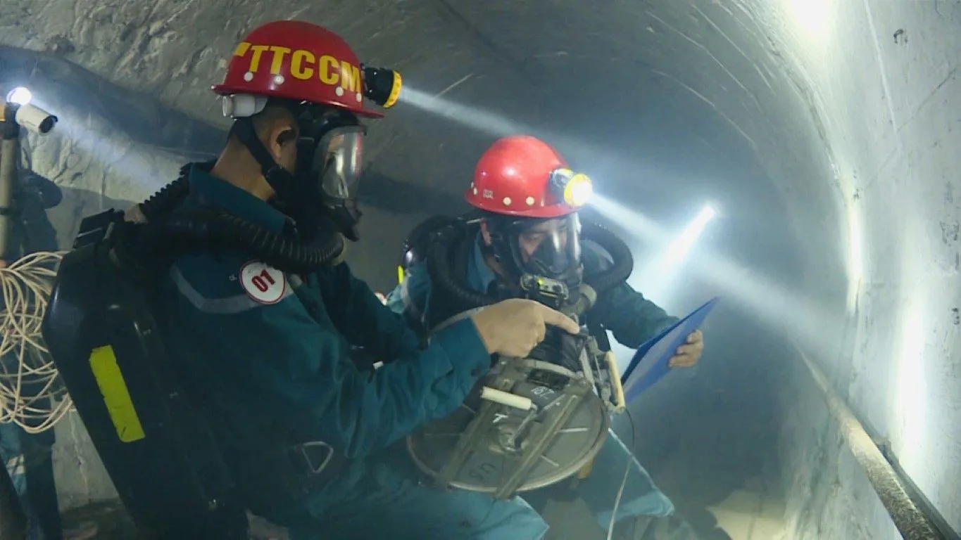Dịch vụ tư vấn