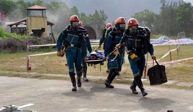 Hình ảnh tổng hợp